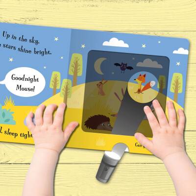 Imagine That Goodnight Cat - A Magic Torch Book - 2