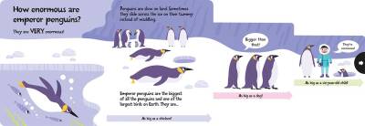 Imagine That How Wide Is A Whale - Board Book - 8