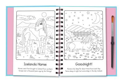 Imagıne That Magic Water Colouring - Horses and Unicorns - 3