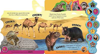 Incredible Animals- İnanılmaz Hayvanlar- İlk Sesli Kitabım - 2