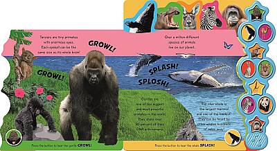 Incredible Animals- İnanılmaz Hayvanlar- İlk Sesli Kitabım - 3