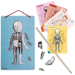 Janod Magnetic Game - Let's Get To Know Our Bodies J05491 - 3