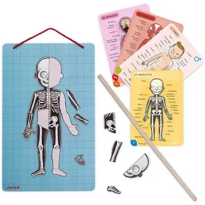 Janod Magnetic Game - Let's Get To Know Our Bodies J05491 - 3