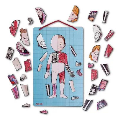 Janod Magnetic Game - Let's Get To Know Our Bodies J05491 - 2