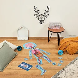 Janod Öğretici Puzzle - İnsan Vücudu 4'lü Set J02681 - 6