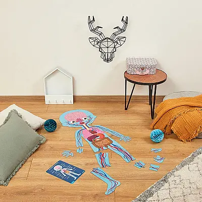 Janod Öğretici Puzzle - İnsan Vücudu 4'lü Set J02681 - 6