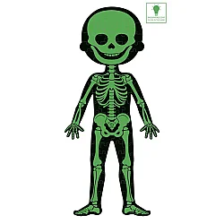 Janod Öğretici Puzzle - İnsan Vücudu 4'lü Set J02681 - 5