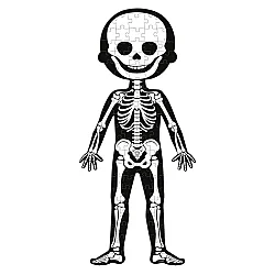 Janod Öğretici Puzzle - İnsan Vücudu 4'lü Set J02681 - 3