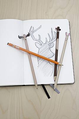 Kikkerland Orman Hayvanları Temalı Kurşun Kalem Seti 4347 - 2