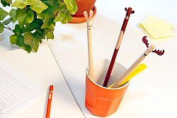 Kikkerland Orman Hayvanları Temalı Kurşun Kalem Seti 4347 - 4