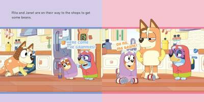 Ladybird Bluey: What Games Should We Play? - 2