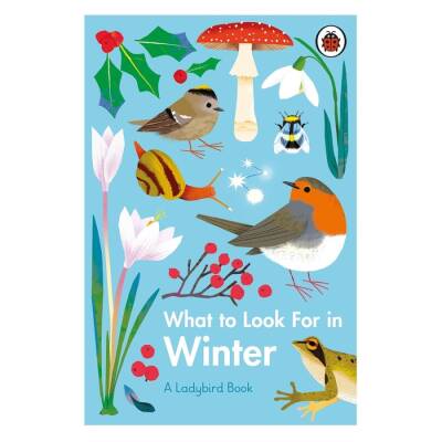 Ladybird What To Look For In Winter - 1
