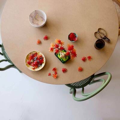 Lego Botanicals Japanese Red Maple Bonsai Tree 10348 - 9