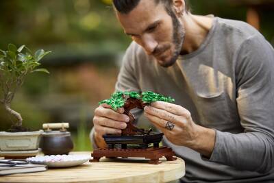 Lego Icon Bonsai Tree Lad10281 - 8