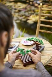 Lego Icon Bonsai Tree Lad10281 - 9