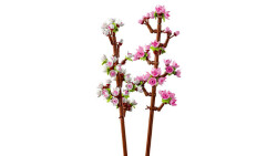 Lego Iconic Cherry Blossoms 40725 - 2