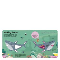 Little Tiger How It Works - Shark - 3