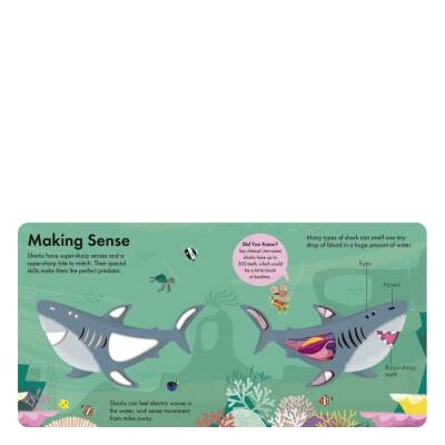 Little Tiger How It Works - Shark - 3