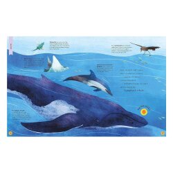 Little Tiger Sounds Of The Wild - 2