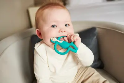 Matchstick Monkey Silikon Dis Kasiyici / Echo Elephant MM-E-001 - 5