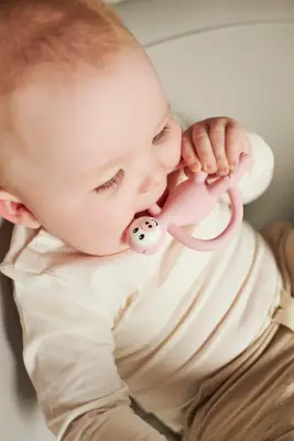 Matchstick Monkey Silikon Dis Kasiyici / Pickle Pig MM-PG-001 - 5