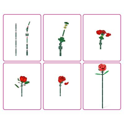 Max Gul Surprise-8318Xgq1 - 2