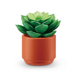 Mini Botanical Garden Surprise Package Mn800000 - 4