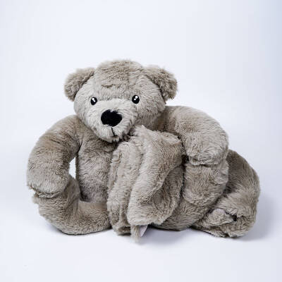 My Friend Toys Blanket-Wearing Ash Gray Bear Plush Toy - 1