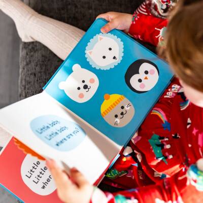 Nosy Crow Baby Faces: Little Penguin - 3