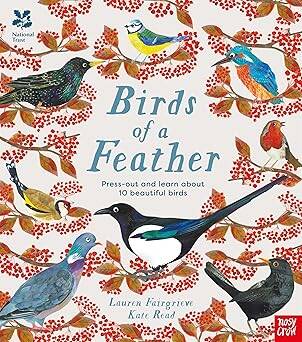 Nosy Crow National Trust: Birds of a Feather: Press out and learn about 10 beautiful birds - 1