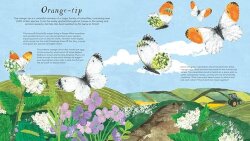 Nosy Crow National Trust: Butterfly Skies - 4