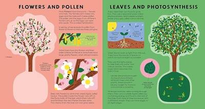 Nosy Crow Tree Book - 2