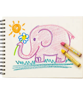 Ooly Brilliant Bee 12 Pack Crayon 133-093 - 6