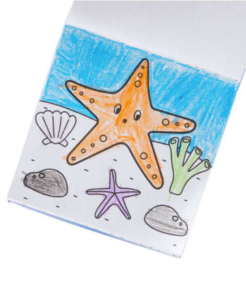 Ooly Carry Along Boyama Seti - Sea Life 138-022 - 3