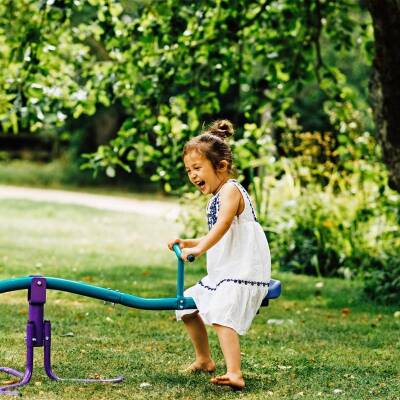 Plum Rotating Metal Seesaw 22300Ab82 - 5