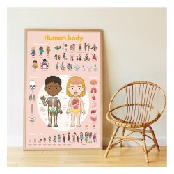 Poppik Discovery Sticker Poster Human Body Dıs011 - 2