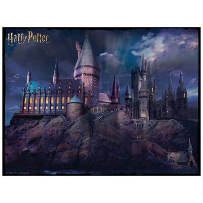 Prime 3D Harry Potter 500 Piece Double-Sided Puzzle Prm/37579 - 3
