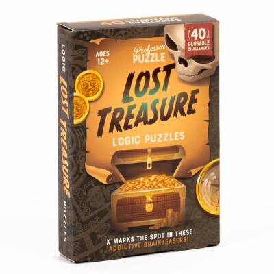 Professor Puzzle - Logic Puzzles - Lost Treasure - 1