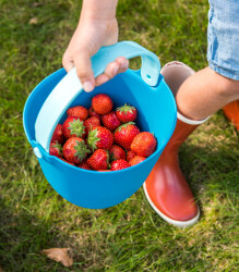 Quut Bucki Elekli Hard Ocean 173267 - 4