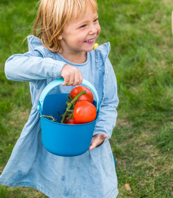 Quut Bucki Elekli Hard Ocean 173267 - 6