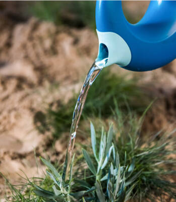 Quut Cana Double-Sided Baby Watering Can Large Ocean 172406 - 4