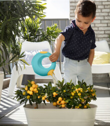 Quut Cana Double-Sided Children's Watering Can Small Banana Blue 172420 - 3