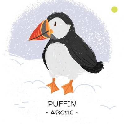 Sassi Animals To Save Polar Ice - 3