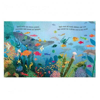 Sassi Mare - An Extraordinary World Among The Waves - 2