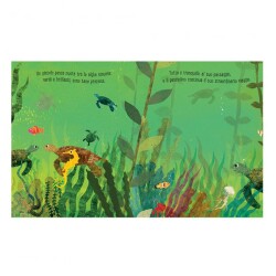 Sassi Mare - An Extraordinary World Among The Waves - 3