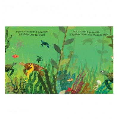 Sassi Mare - An Extraordinary World Among The Waves - 3