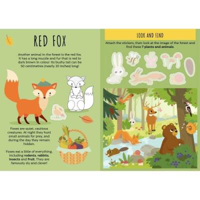 Sassi The Forest - Sticker And Activities - 2