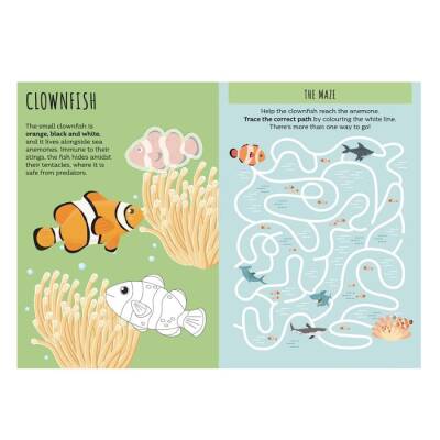 Sassı The Sea - Sticker And Activities - 2