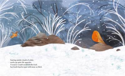 Sassi Winter - 3