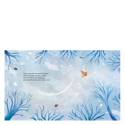 Sassi Winter - 2